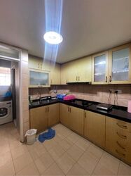 Orchid Park Condominium (D27), Condominium #531598241